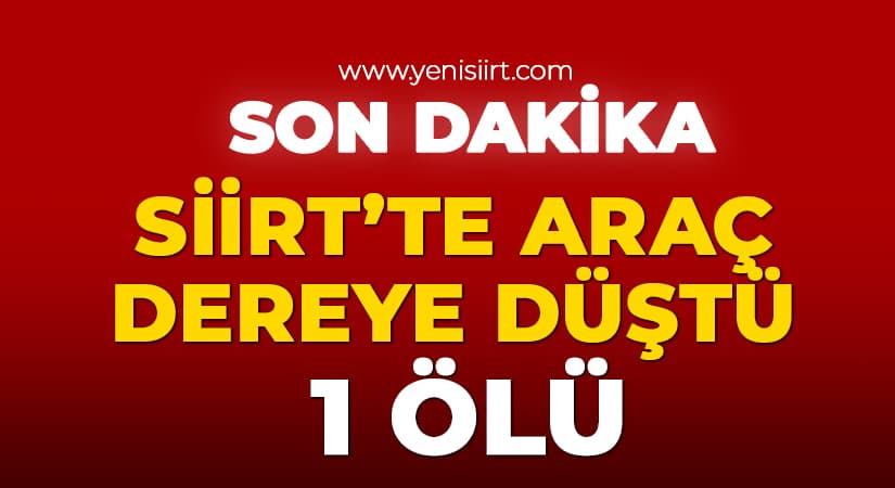 Siirt’te Araç Dereye Düştü: 1 Ölü