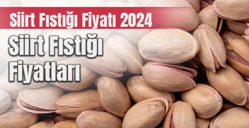 Siirt fıstığı kilosu kaç TL? 2024 Siirt Fıstığı fiyatları… Siirt fıstığı kaç lira oldu? Güncel Siirt fıstık fiyatı